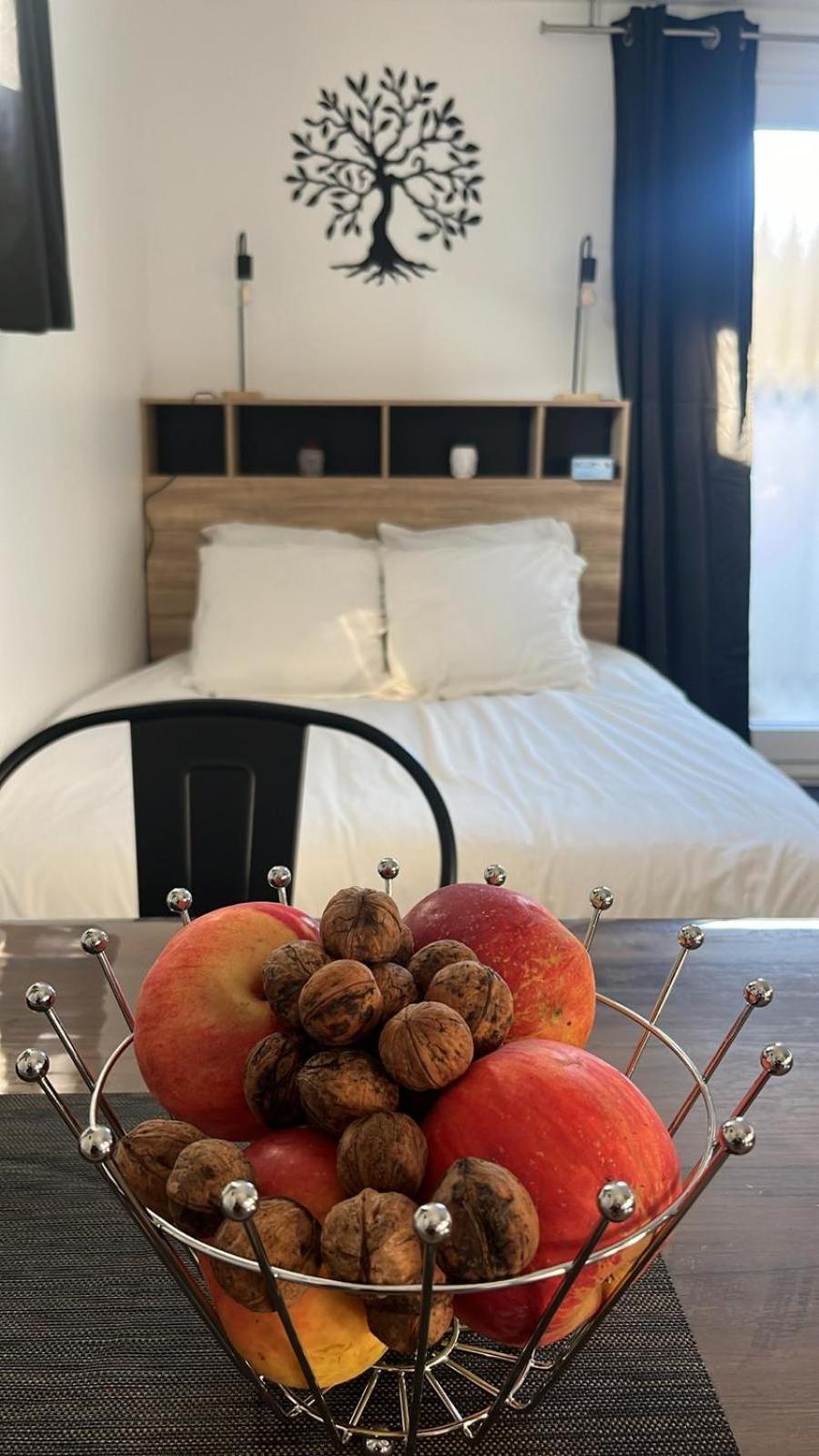Studio Aux Pieds Des Vignes Eguisheim Eksteriør billede