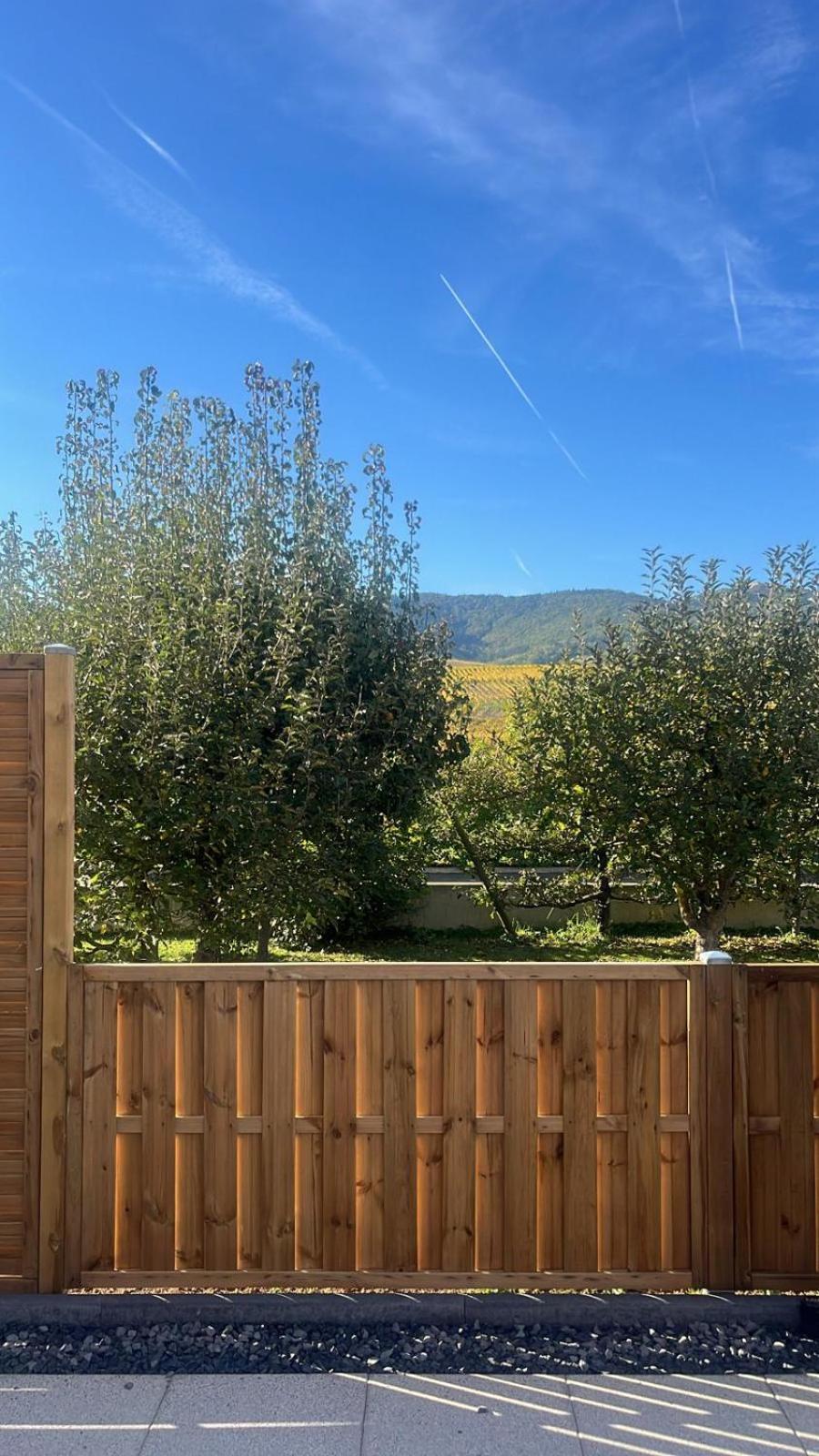 Studio Aux Pieds Des Vignes Eguisheim Eksteriør billede